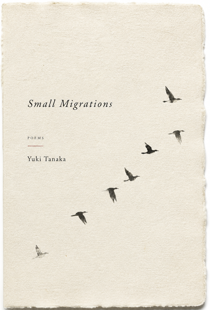 Poetry Collection example cover for Small Migrations